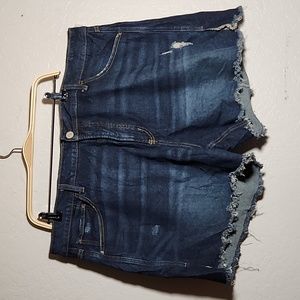 TERRA & SKY 20W DarknWash Distressed Cut Off Shorts